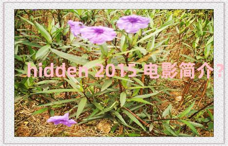 hidden 2015 电影简介？hidden figures电影简介